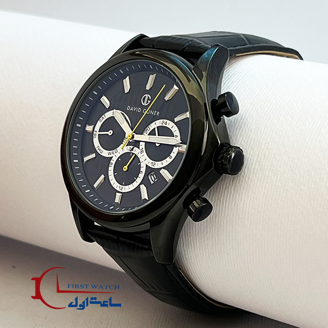 davidguner-2571-2 davidguner-2571-2